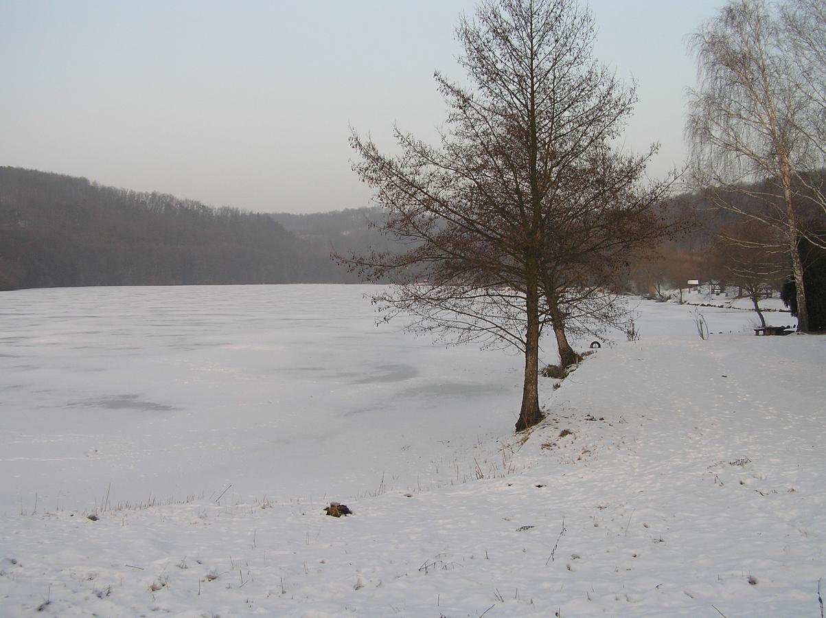 Kovácsszénája Vendégház Kovacsszenaja Exterior foto